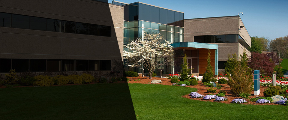 South Boston Landscapers