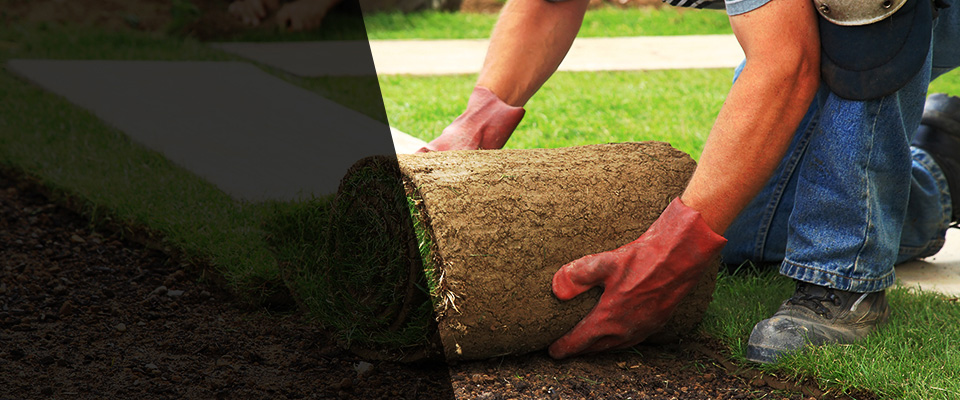 South Boston Landscapers